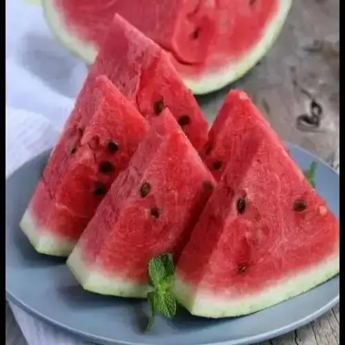 Watermelon Plate