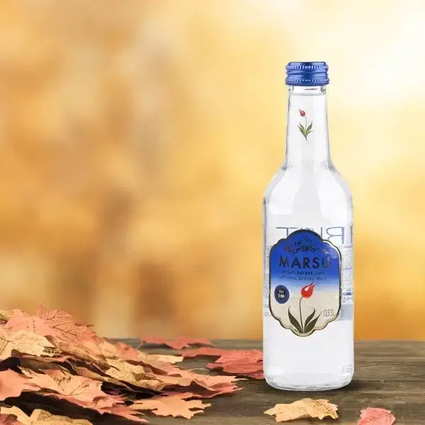 Glass Bottle Water